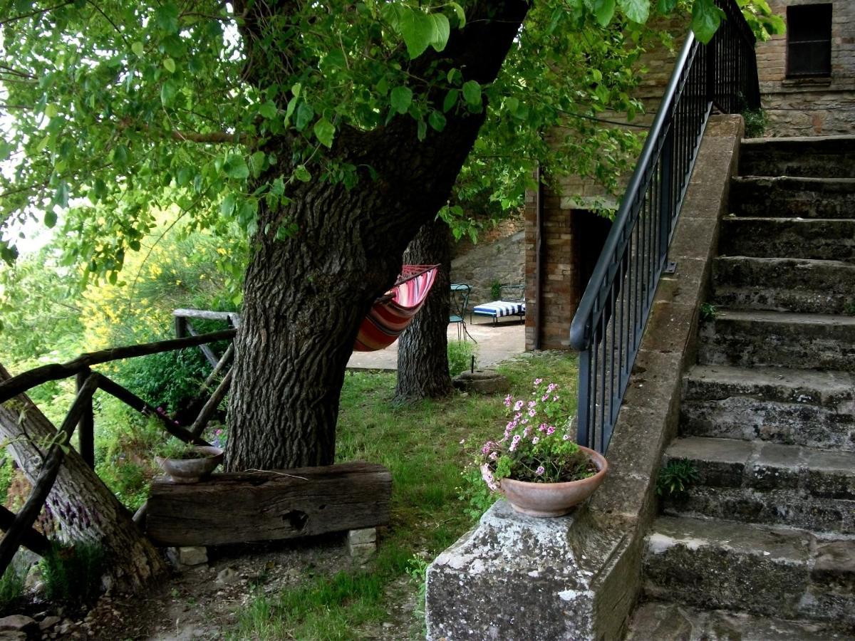La Rosa Scarlatta Monterubbiano Eksteriør billede